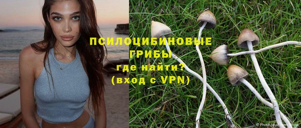стаф Кукмор