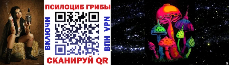 Псилоцибиновые грибы мицелий  Купить где  Томари 